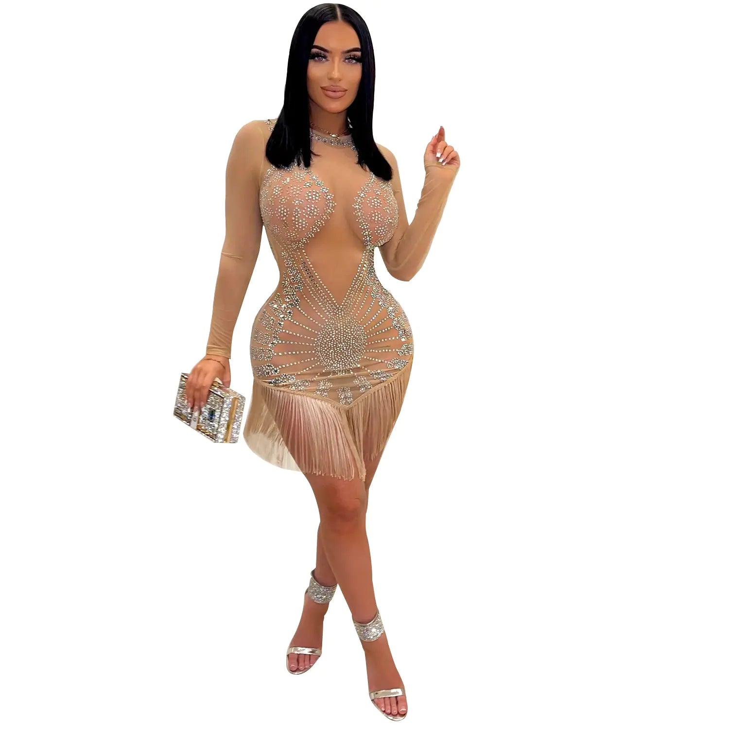 Chic Mesh Tassel Dress